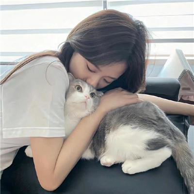 情断上海滩